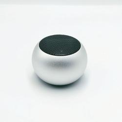 mini 305